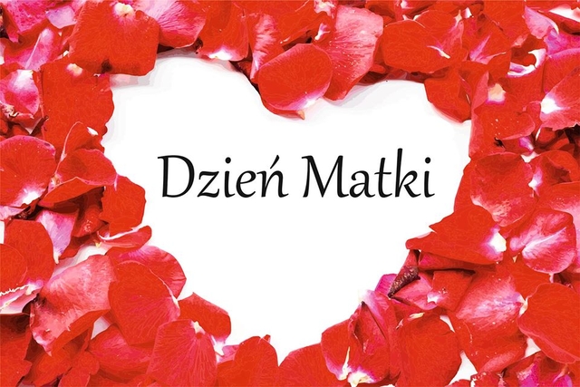 dzień fot