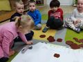 IMG 20230331 WA0035