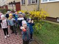 Zdjęcie od Magdalena8