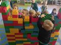 IMG20240216094049