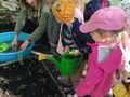 IMG20240411101524