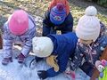 IMG20231122105216